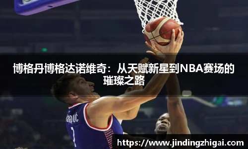 博格丹博格达诺维奇：从天赋新星到NBA赛场的璀璨之路