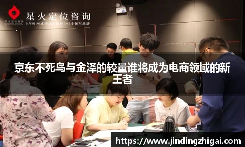 京东不死鸟与金泽的较量谁将成为电商领域的新王者